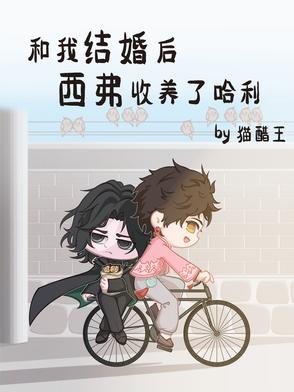 和我结婚后，西弗收养了哈利和我结婚后，西弗收养了哈利