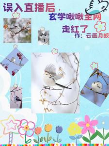 我，小金乌，后台大一点怎么了！我，小金乌，后台大一点怎么了！